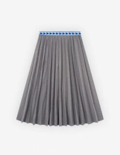 Pleated Skirt